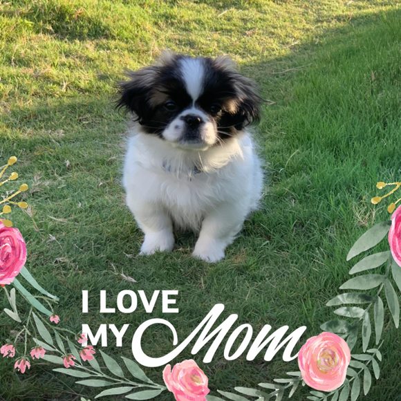 Meet your Posher, Lisa - Picture 1 of 1